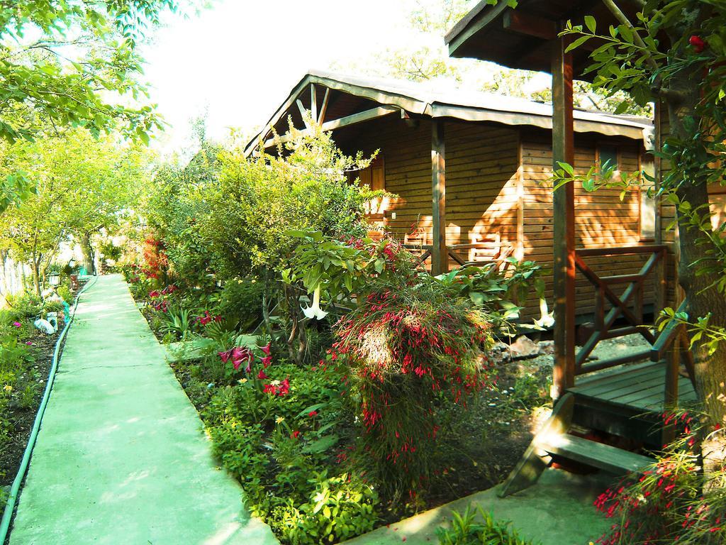 Merhaba Bungalow Beykonak Room photo