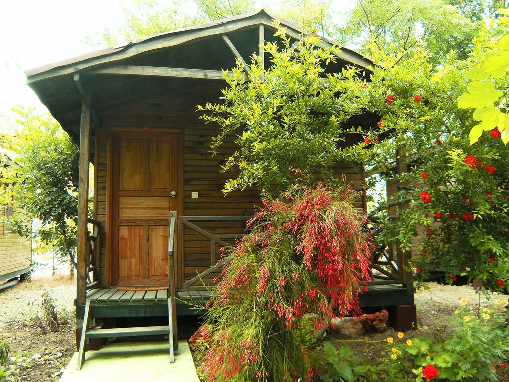 Merhaba Bungalow Beykonak Room photo